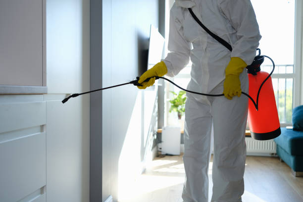 Best Industrial Mold Remediation in Leesburg, VA