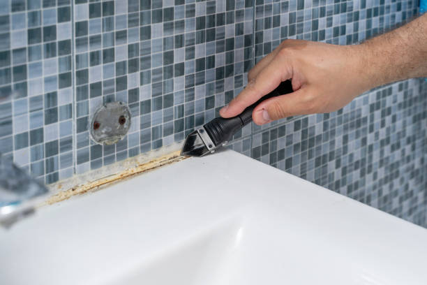 Best Residential Mold Remediation in Leesburg, VA